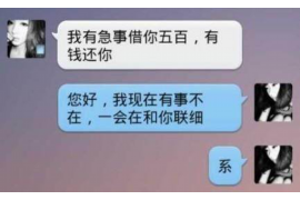 射洪为什么选择专业追讨公司来处理您的债务纠纷？